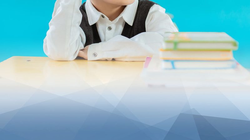 K12网课价格波动背后的真相